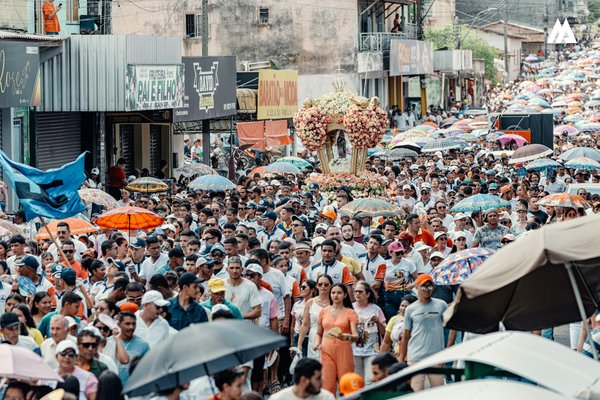Espèces Animales Menacées par le Réchauffement Climatique : Une Urgence Planétaire